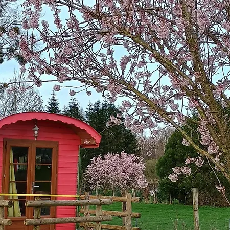 펜션 Les Roulottes Du Petit Brimeux