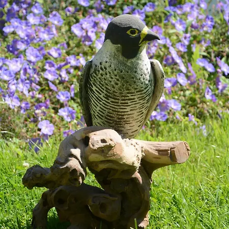 Les Roulottes Du Petit Prázdninový dům Brimeux