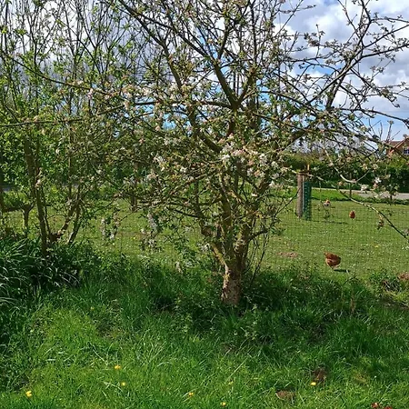 Les Roulottes Du Petit * Brimeux